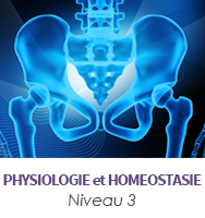 Physiologie et homéostasie niveau 3